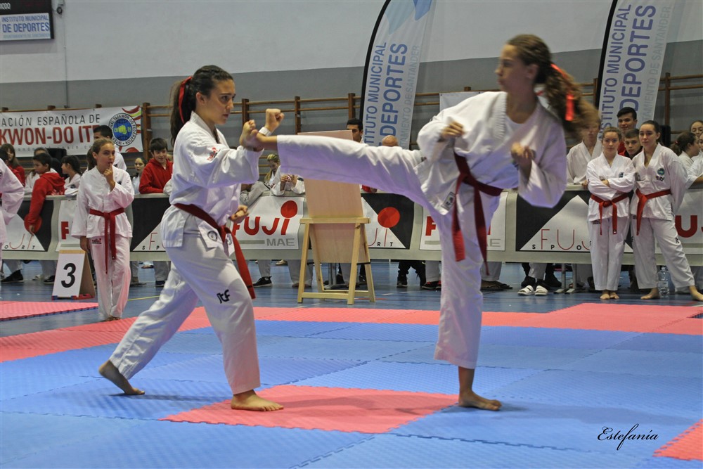 Copa Seul 2018 (375).jpg